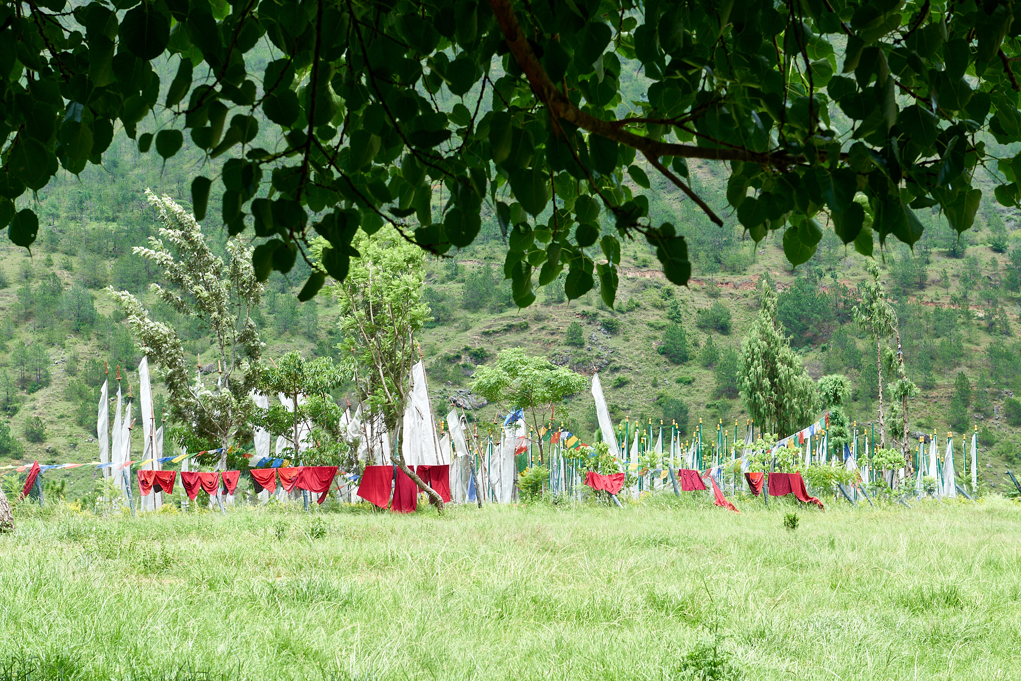 20170805 072 Bhutan Chimi Lhakhang